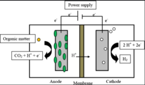 MEC Diagram.png