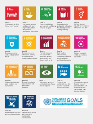 TheSustainableDevelopmentGoals.png