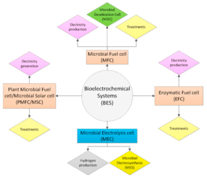 Bioelectrochemical Systems Graphic.png