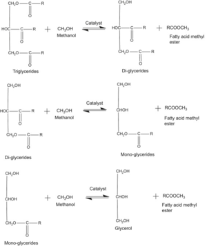 Transesterification Reaction Mechanism. All Rights Reserved