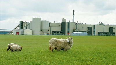 UPM Shotton Biomass Facility