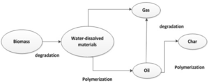 HTL Reaction Pathway.png